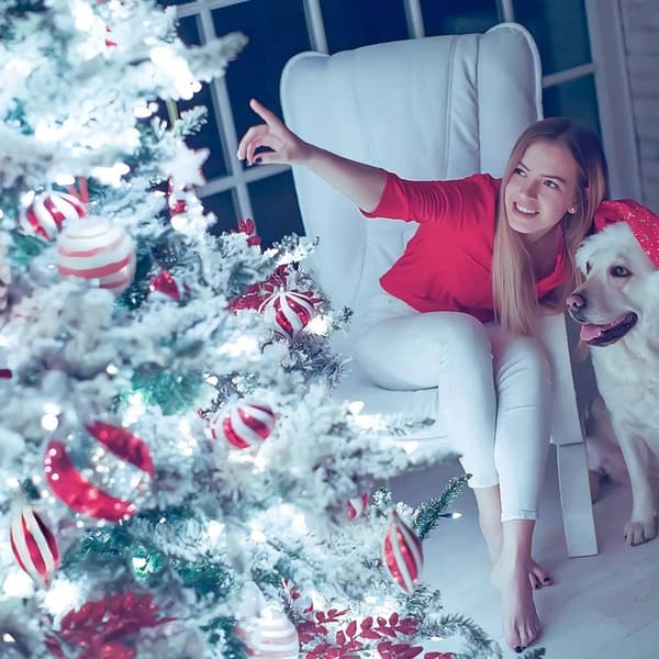 Julbelysning, 6 meter 40 LED Snöflingor Strängljus Batteridriven