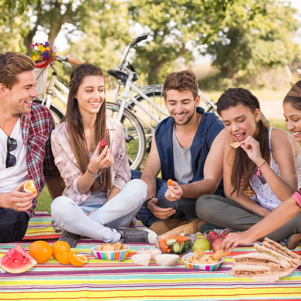 Waterproof Picnic Blanket 200 x 195 cm, Large Camping Blanket, Sandproof Beach Mat, Portable with Handle