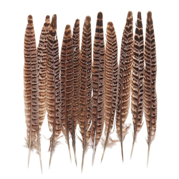 Fjær Halefjær 15-20CM - spottsalg{FY}