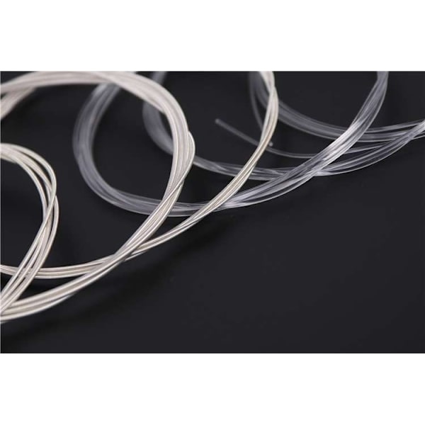 Nylonstrenger - Et komplett sett for musikkens mesterverk Transparent Transparent