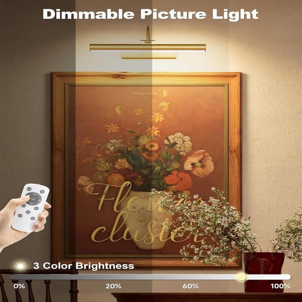 Rechargeable Picture Light with Remote Control, Dimmable, 3 Color Temperatures, Battery Operated Wall Lamp with Timer and Memory Function-FY- Gold