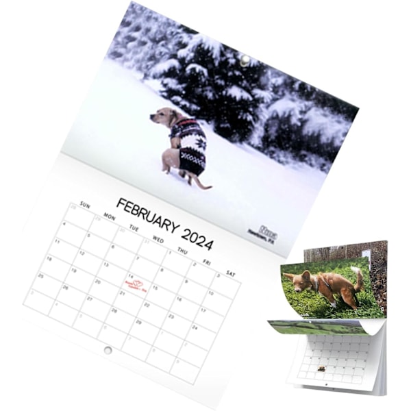 2024 Hundbajs Kalender Vackra Platser | Väggkonst Månadsfamiljekalender | Kalender för Hundgåvor Gag Hängande-B