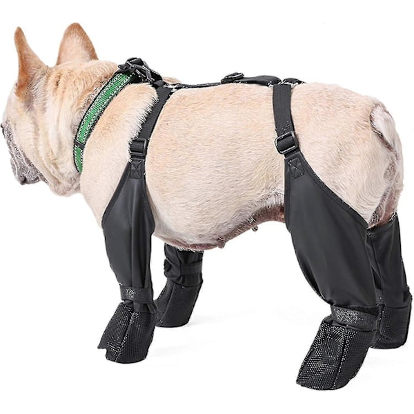 Vinterhundskor Anti-slip, Vattentäta Hundskor Med Extra Rem, Hundskor Med Robust Gummisula, Anti-fall Hund Vandringskängor (FMY)-X42- M