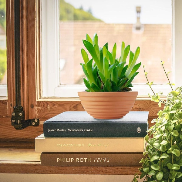Små terrakottapotter 6 tommer, lave skåle med drænhuller, lerpotter til planter, pakke med 6