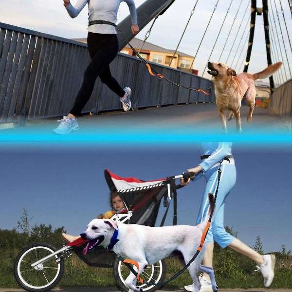 Hundkoppel, uppgradera handsfree hundkoppel med två bungees, lång nylon hundkoppel med justerbart midjebälte kompatibel med löpning