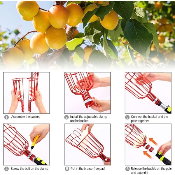 Metallisk fruktplockare med klo, metallisk fruktplockningsverktyg, trädgårdsredskap för skörd av äpplen, citrusfrukter, päron, persikor