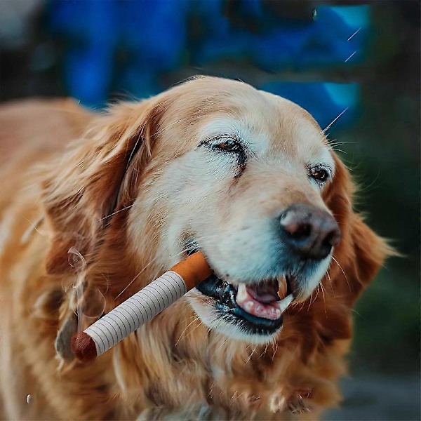 Interaktiv Giggles Stick Hundleksak, Cigarett Hundleksak, Gnisslande Cigarrleksaker