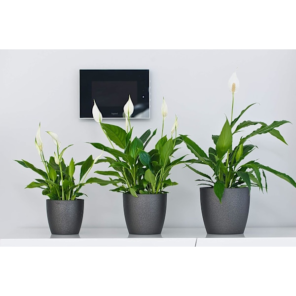 Blomkruka, Plastkruka, Set om 2, Rund Form, Kruka (Grafit, ø 20 cm)