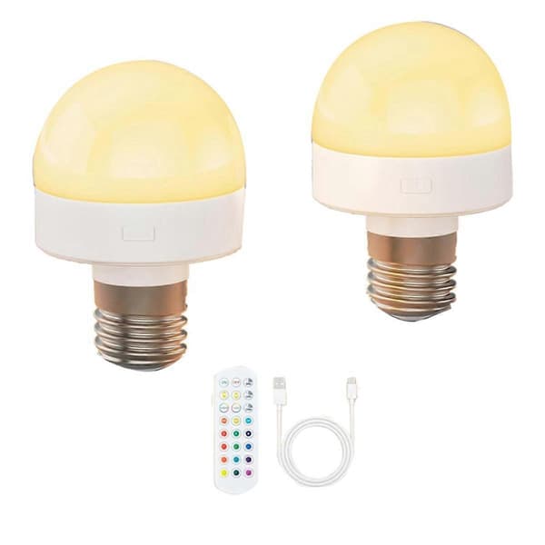 Rechargeable Light Bulbs with Remote Control E26 Battery Operated Light Bulb-FY-