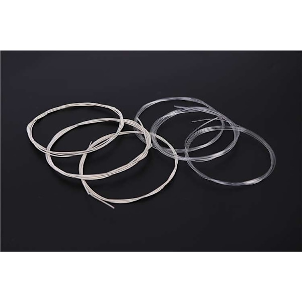 Nylonstrenger - Et komplett sett for musikkens mesterverk Transparent Transparent