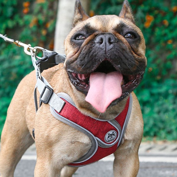 Husdjur brystband hund koppel hund kjede hund koppel husdjur förnödenheter s