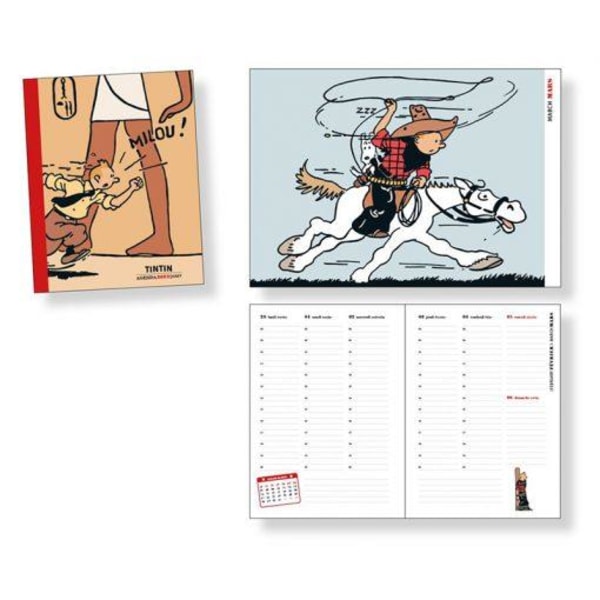 Tintin - Kalender, bok, 21cm x 15cm 2022 multicolor