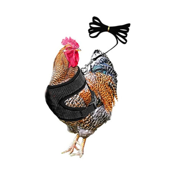 Justerbar kycklingsele Bekväm hönsväst Andas M