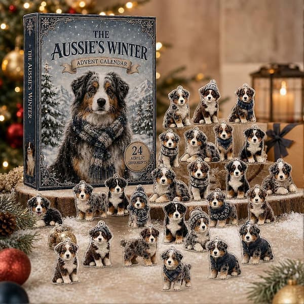Australian Shepherd-julekalender - Festlig juledekorasjon med hund