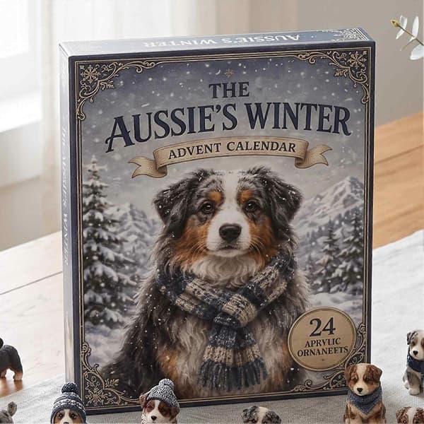 Aussie Vinter-adventskalender – 24 akryl-hundefigurer – for hundeelskere til juletreet