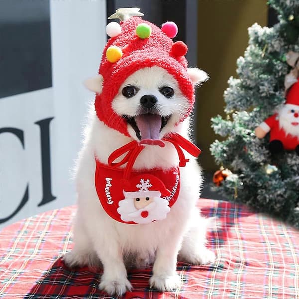 Julehatt til hund, julekostyme til hund, julehatt og skjerf, kjæledyrdekorasjon gave, julebord