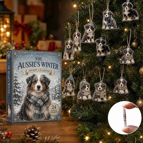 Australian Shepherd-julekalender - Festlig juledekorasjon med hund