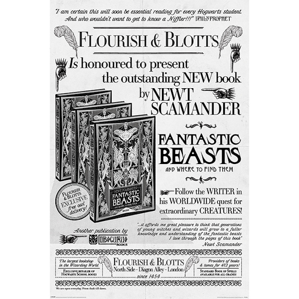 Fantastic Beasts The Crimes Of Grindelwald - Flourish And Blotts Multicolor