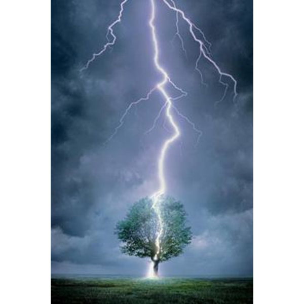 Lightning Bolt - Blixt Multicolor