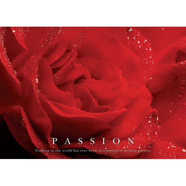 Passion - Red Rose - Röd Ros Multicolor