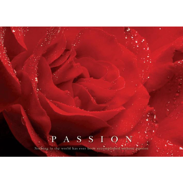 Passion - Red Rose - Röd Ros multifärg