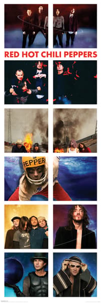 Red Hot Chili Peppers - Snap shots multifärg