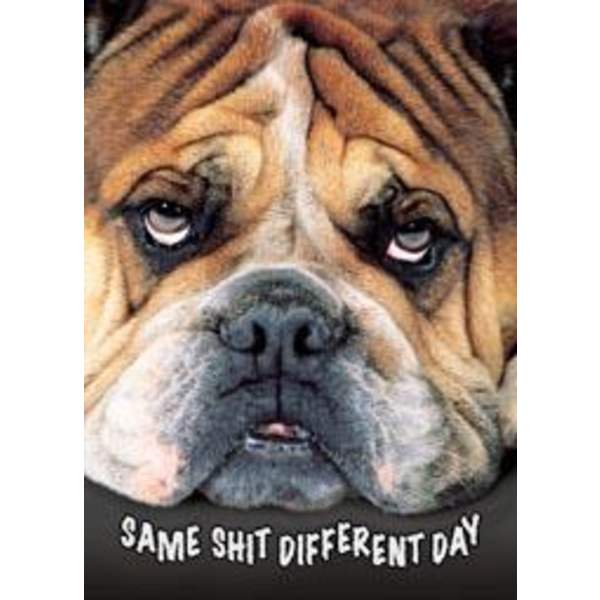Same shit, different day multifärg