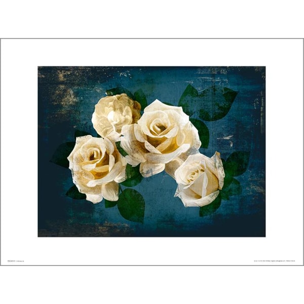 Exklusivt Art Print - Roses Midnight - Vita rosor i natten multifärg