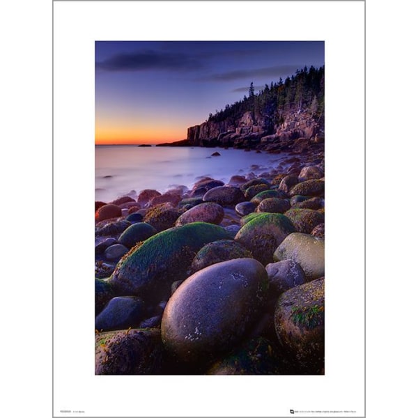 Exklusivt Art Print - Tom Mackie - Pebbles Multicolor