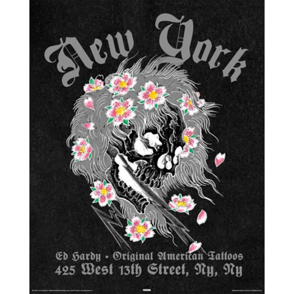 Ed Hardy Poster New York Multicolor