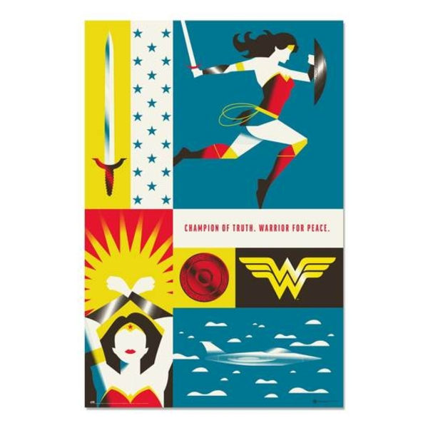 WONDER WOMAN - 100 YEARS WB Multicolor