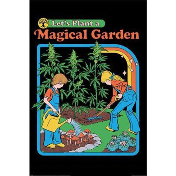 STEVEN RHODES (LET'S PLANT A MAGICAL GARDEN) Multicolor