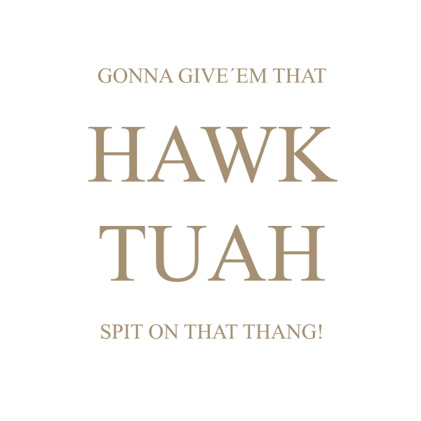 A3 Print - HAWK TUAH - SPIT ON THAT THANG - Brun text Multicolor