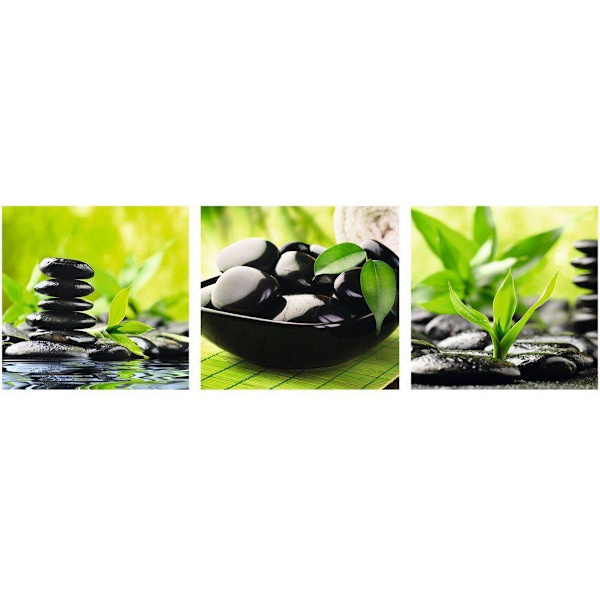 Wellness - Green Multicolor