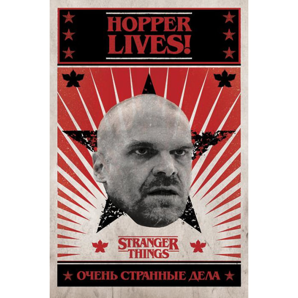 Stranger Things (Hopper Lives) Multicolor