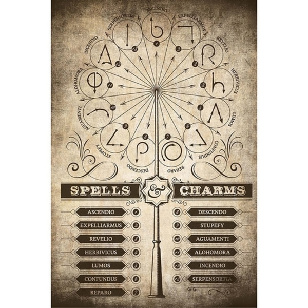 Poster - HARRY POTTER SPELLS & CHARMS multifärg