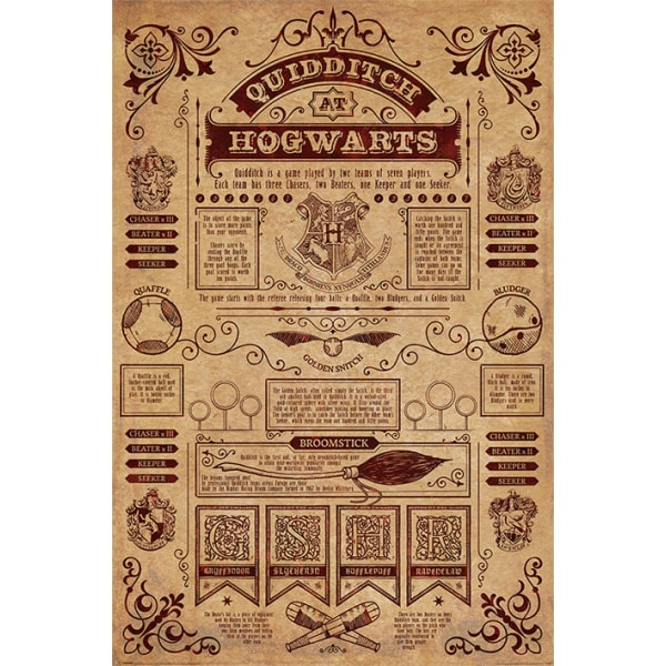 Harry Potter - Quidditch Tylypahkassa Multicolor