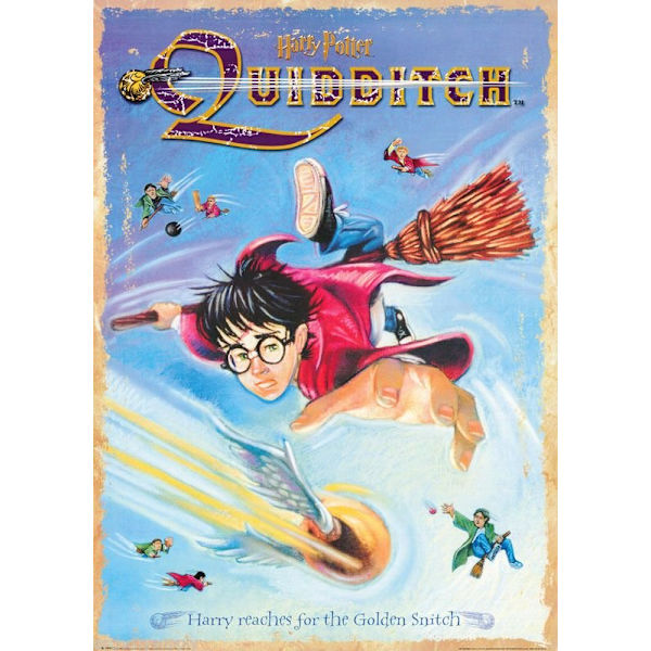 Harry Potter - Quidditch multifärg
