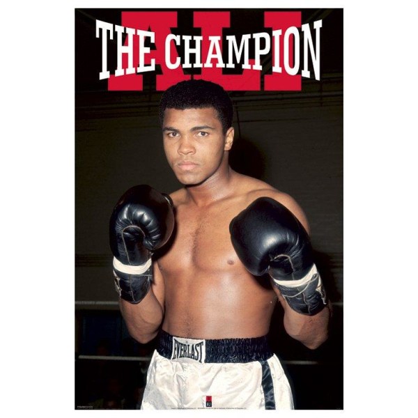 Muhammad Ali - Mestari Multicolor