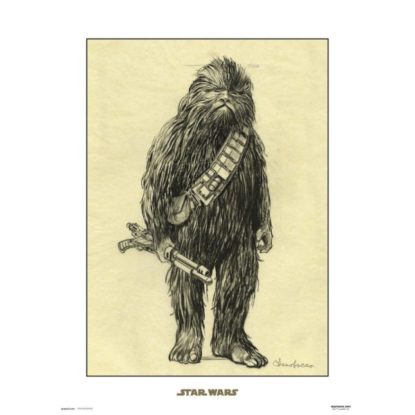 STAR WARS - CONCEPT ART - CHEWBACCA - Art Print multifärg