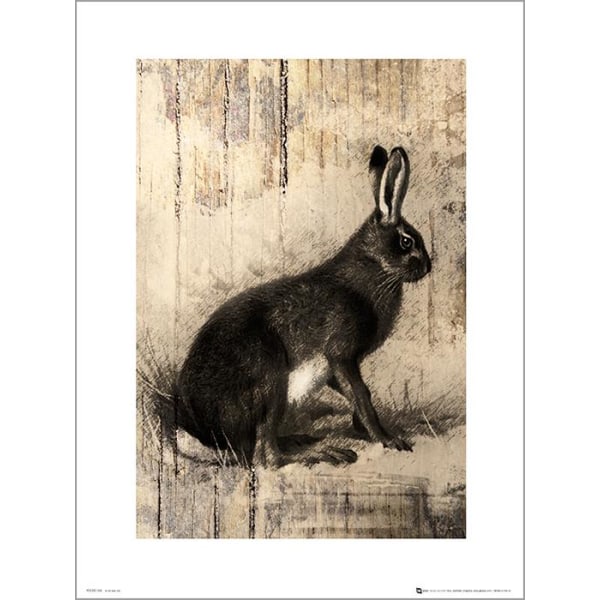 Eksklusivt kunsttryk - Hare Skitse Multicolor