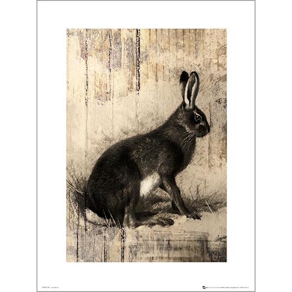 Exklusivt Art Print - Hare Sketch multifärg