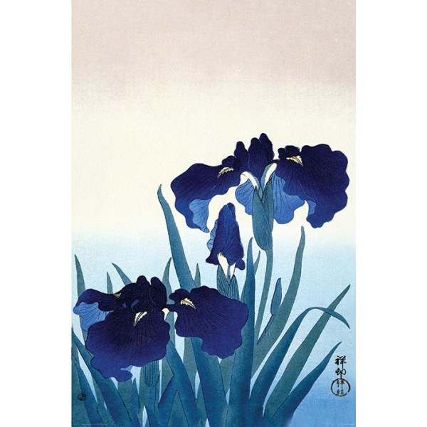 Ohara Koson (Iris Flowers) Multicolor