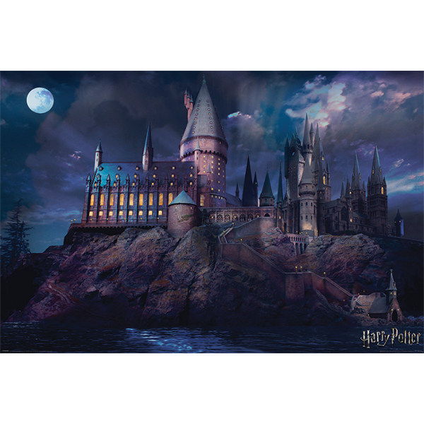 Harry Potter - Hogwarts Multicolor