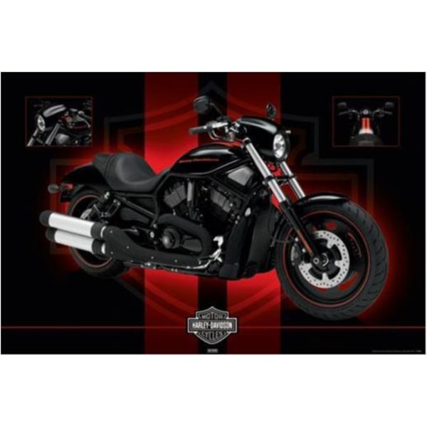 Harley Davidson - Night Rod Special multifärg