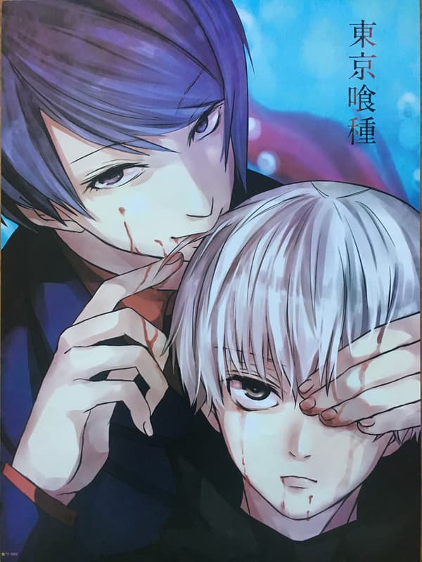 Manga - Tokyo Ghoul 6 multifärg