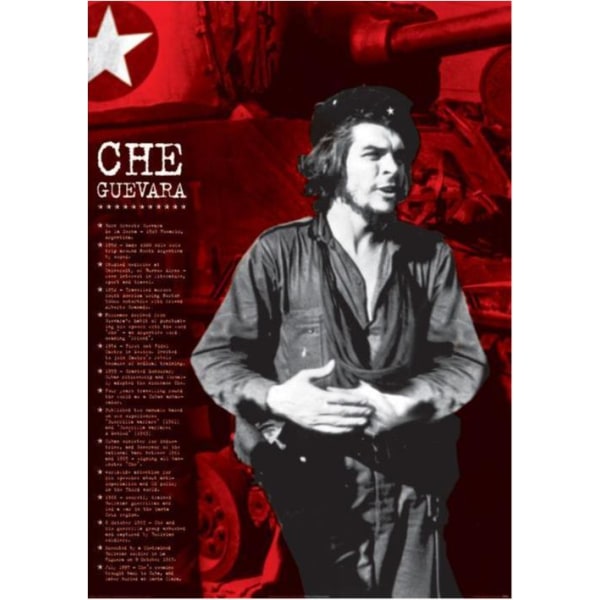Che Guevara - Facts multifärg