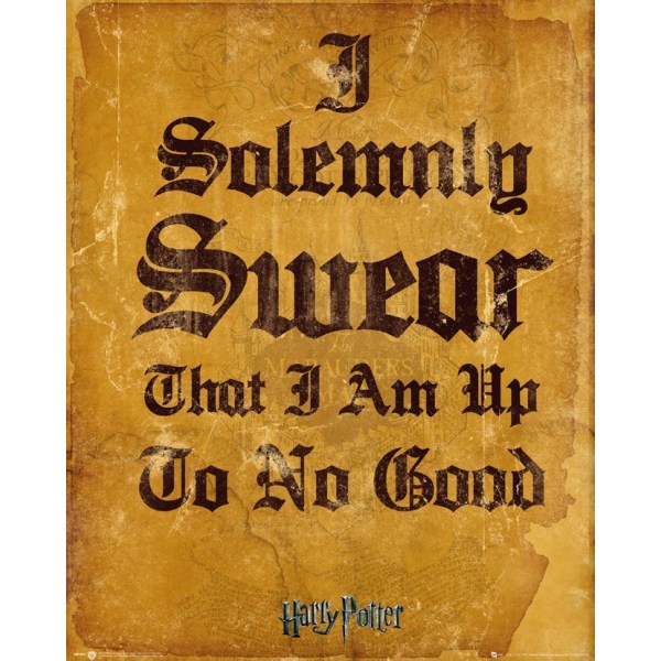 Harry Potter - I Solemnly Swear I Am Up To No Good Multicolor