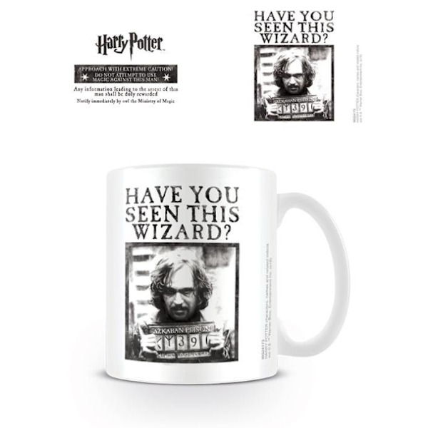 Harry Potter (Wanted) - Mugg multifärg