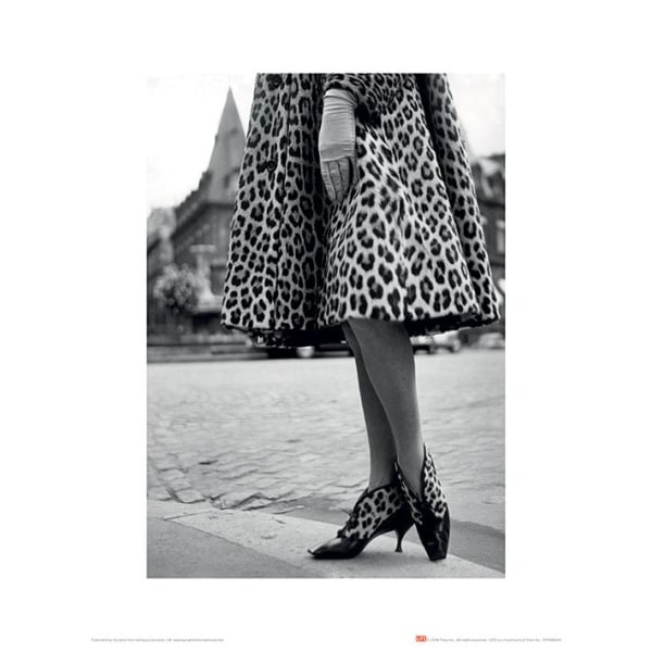 Time Life - Dior Leopard Print multifärg